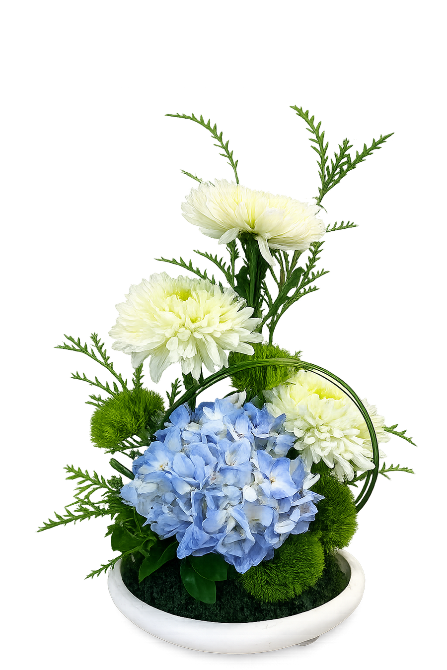 Elegant Blue Hydrangea Floral Arrangement | Luxury White Chrysanthemums